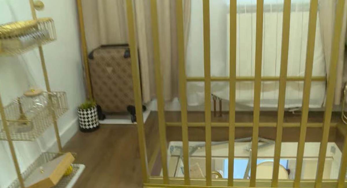 Ovo je luks stan Ane Radulović: Napravila raj za sebe nakon razvoda, a jedan detalj oduzima dan