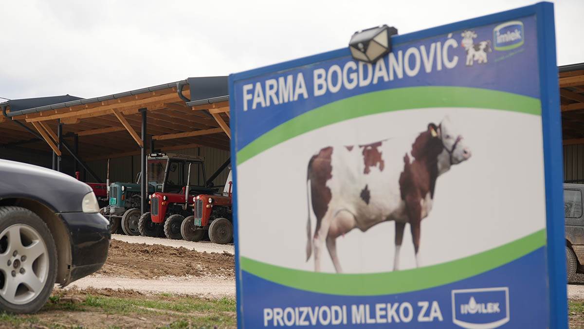 Moba u Lučanima (3).jpg