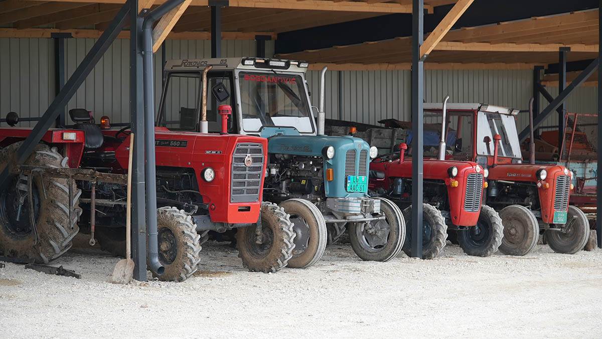 Moba u Lučanima (4).jpg