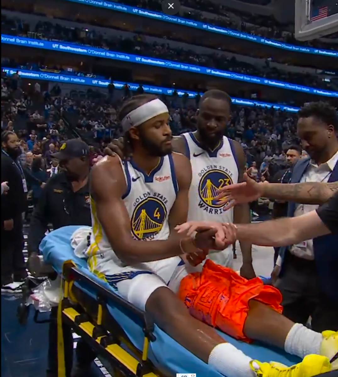 Mudi povreda (3).png