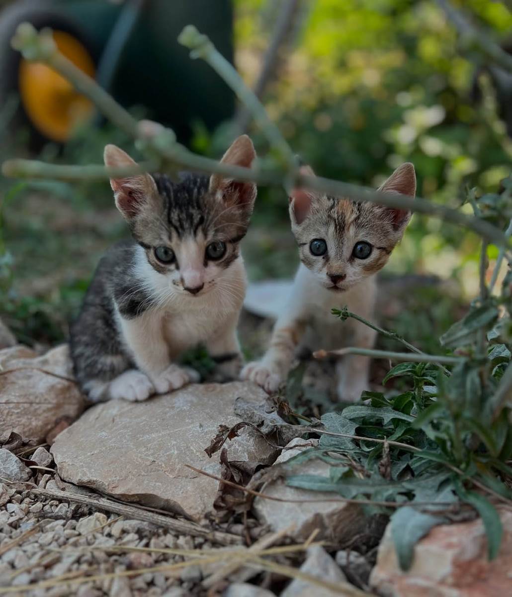 Bojana Đurašković (15).jpg