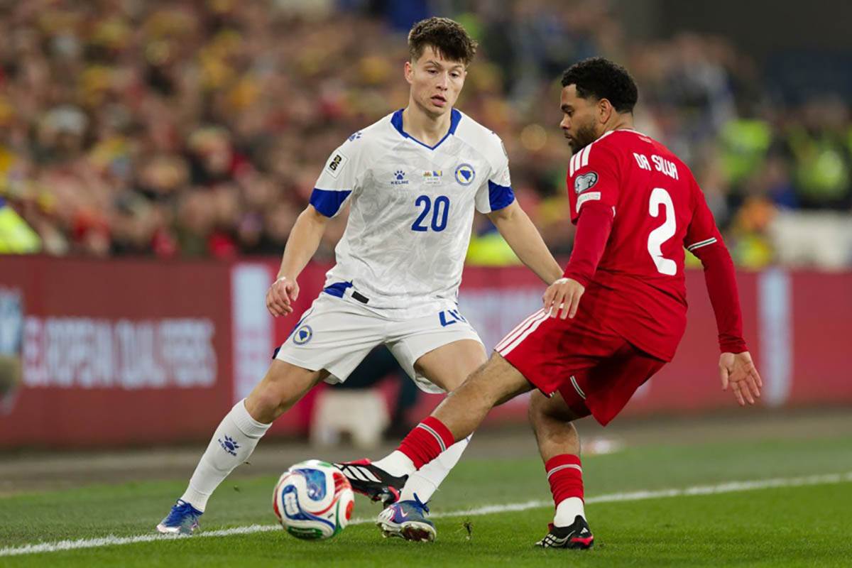 Vels - Bosna i Hercegovina