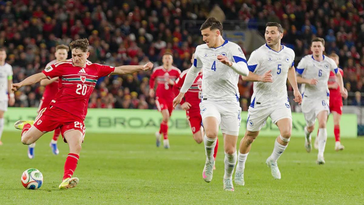 Vels - Bosna i Hercegovina