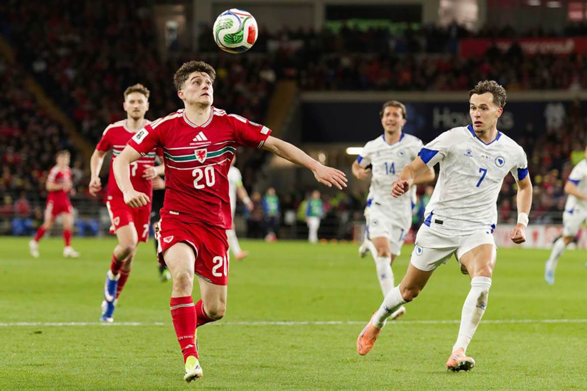 Vels - Bosna i Hercegovina