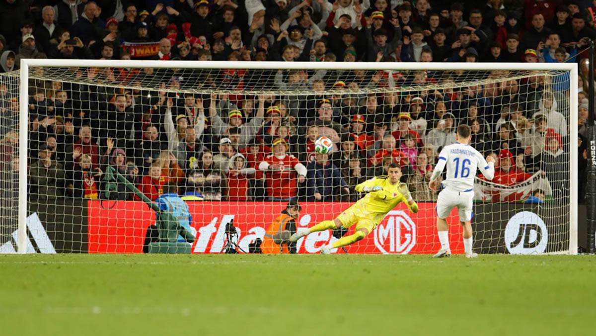 Vels - Bosna i Hercegovina