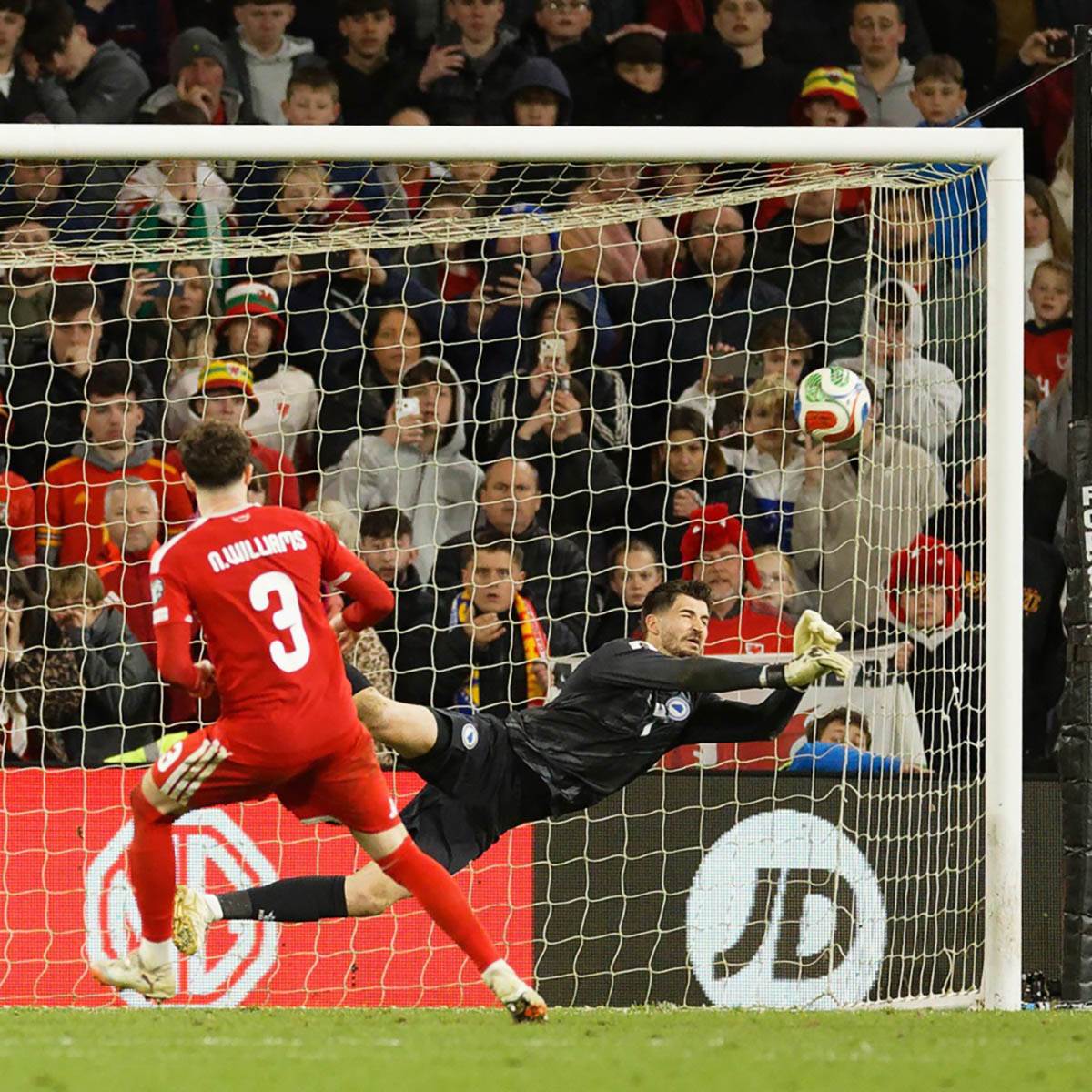 Vels - Bosna i Hercegovina