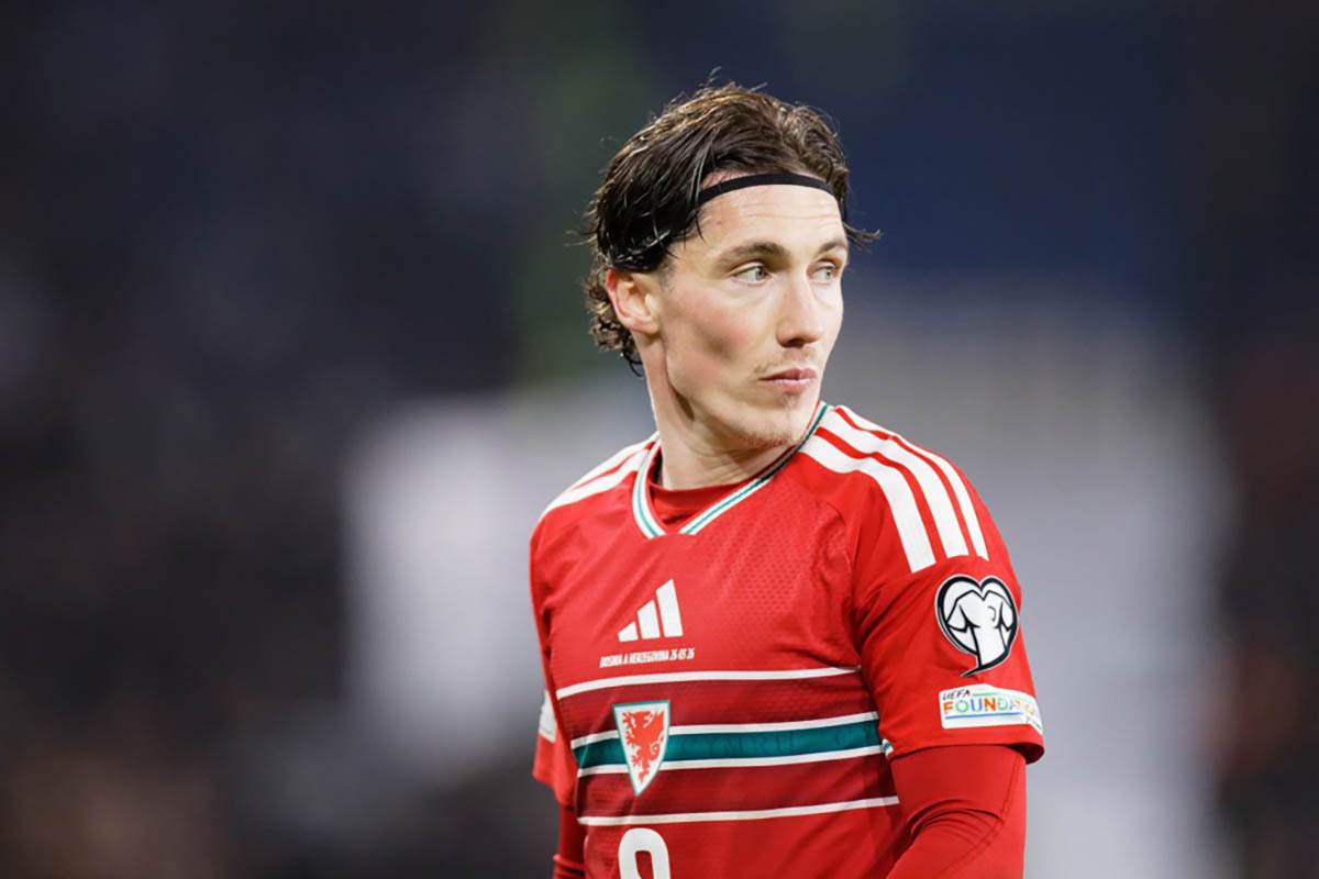 Vels - Bosna i Hercegovina