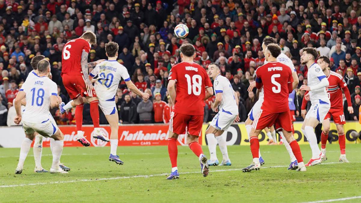 Vels - Bosna i Hercegovina