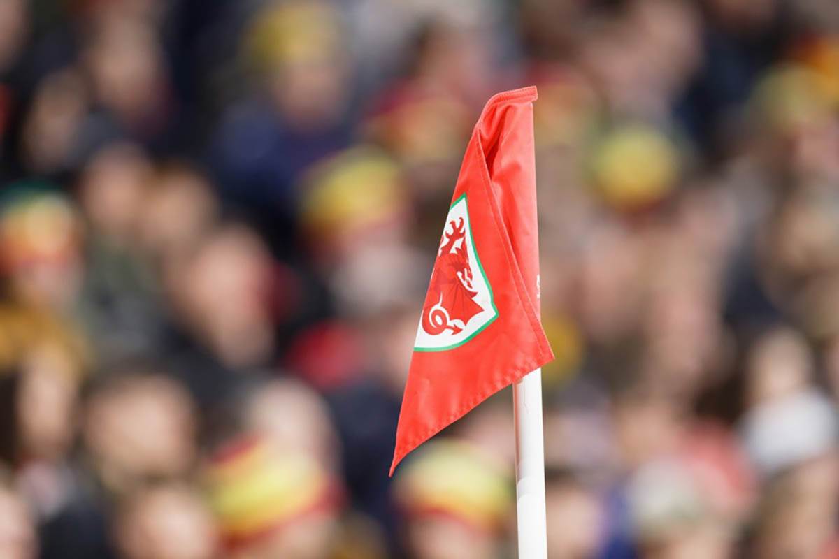 Vels - Bosna i Hercegovina