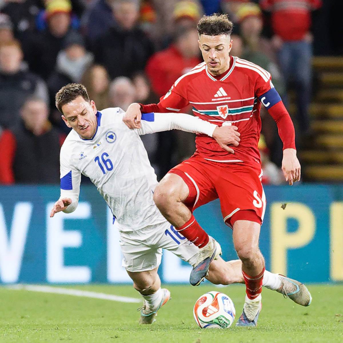 Vels - Bosna i Hercegovina