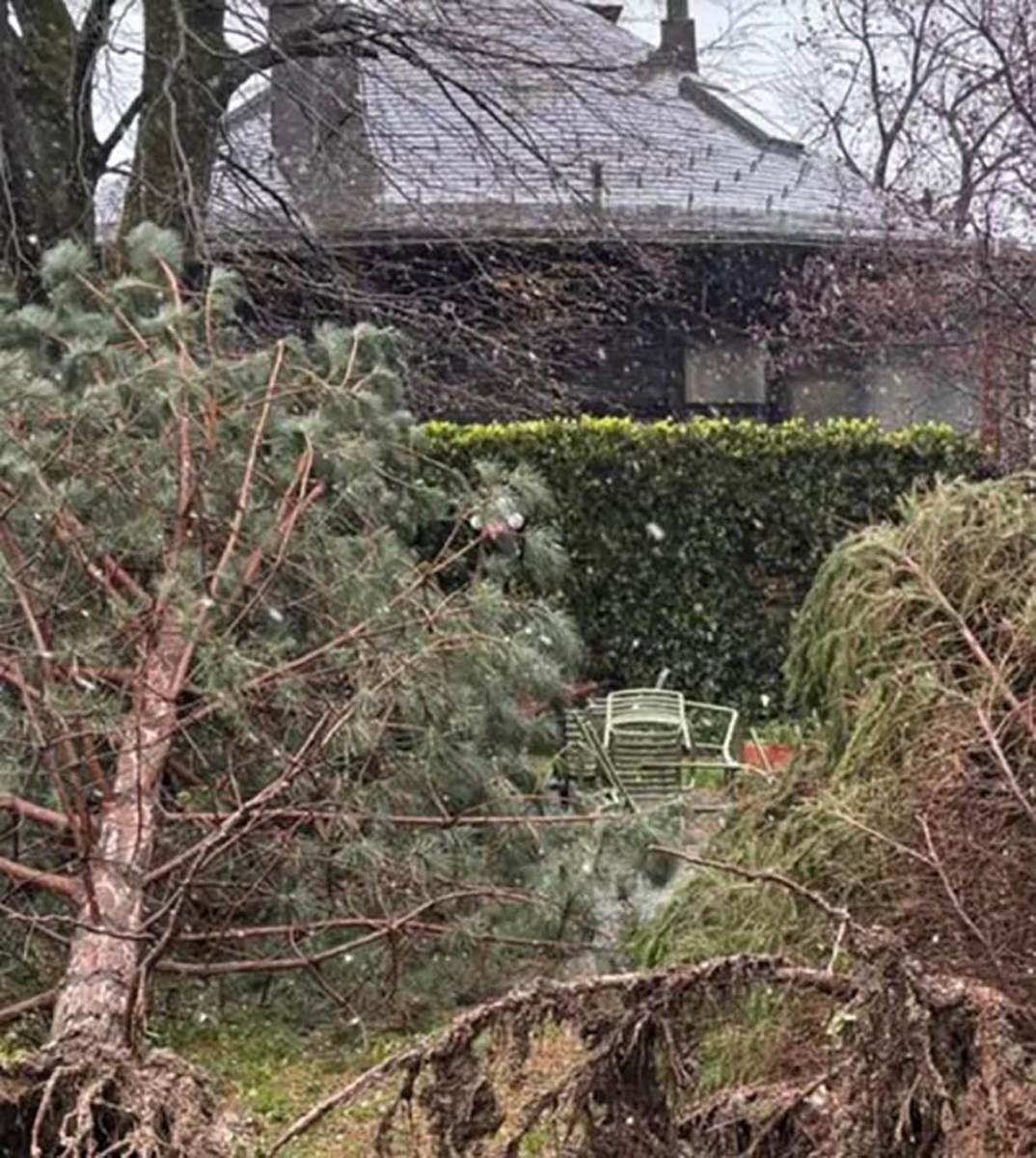 Nikolina Pišek uništen auto (3).jpg