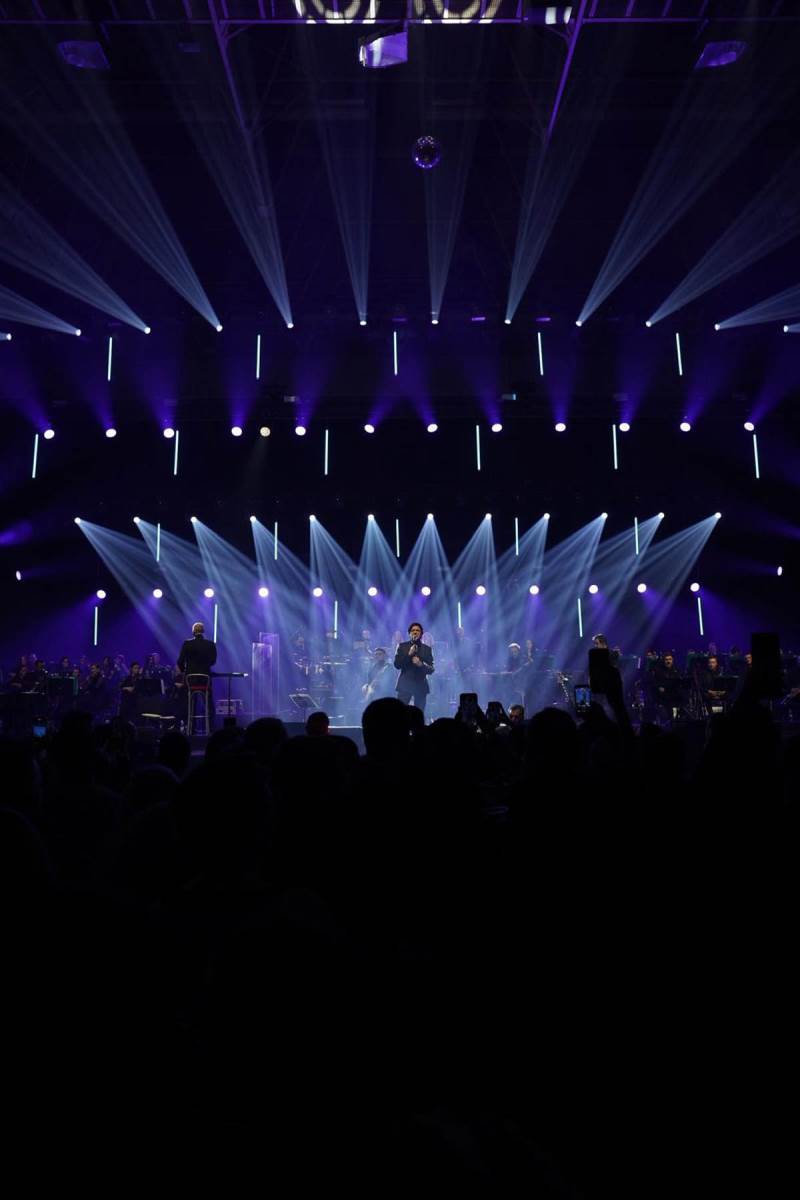 Zdravko Čolić, koncert Sarajevo (11).jpg