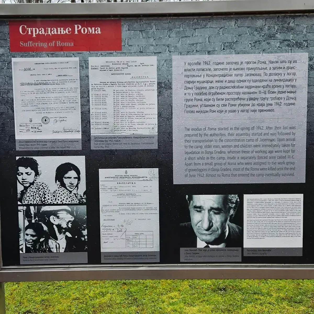 Mirjana Bobić Mojsilović (3).jpg