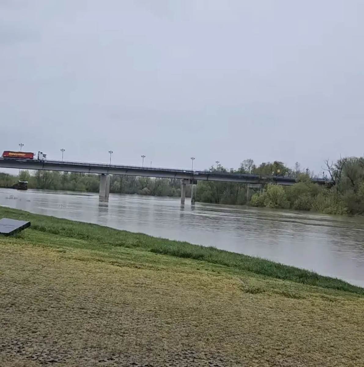 Mirjana Bobić Mojsilović (4).jpg