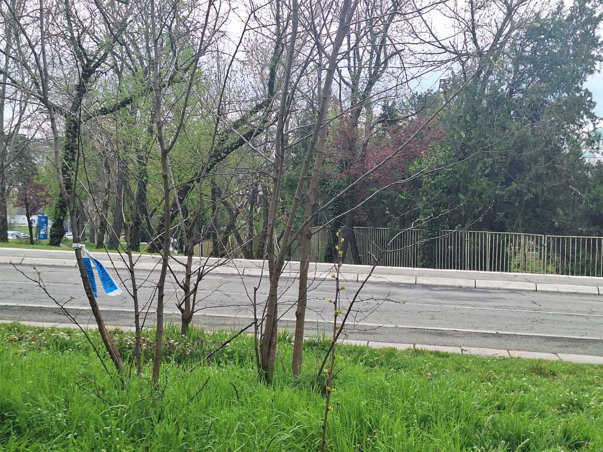 Mesto napada na ženu u Humskoj ulici (3).jpg