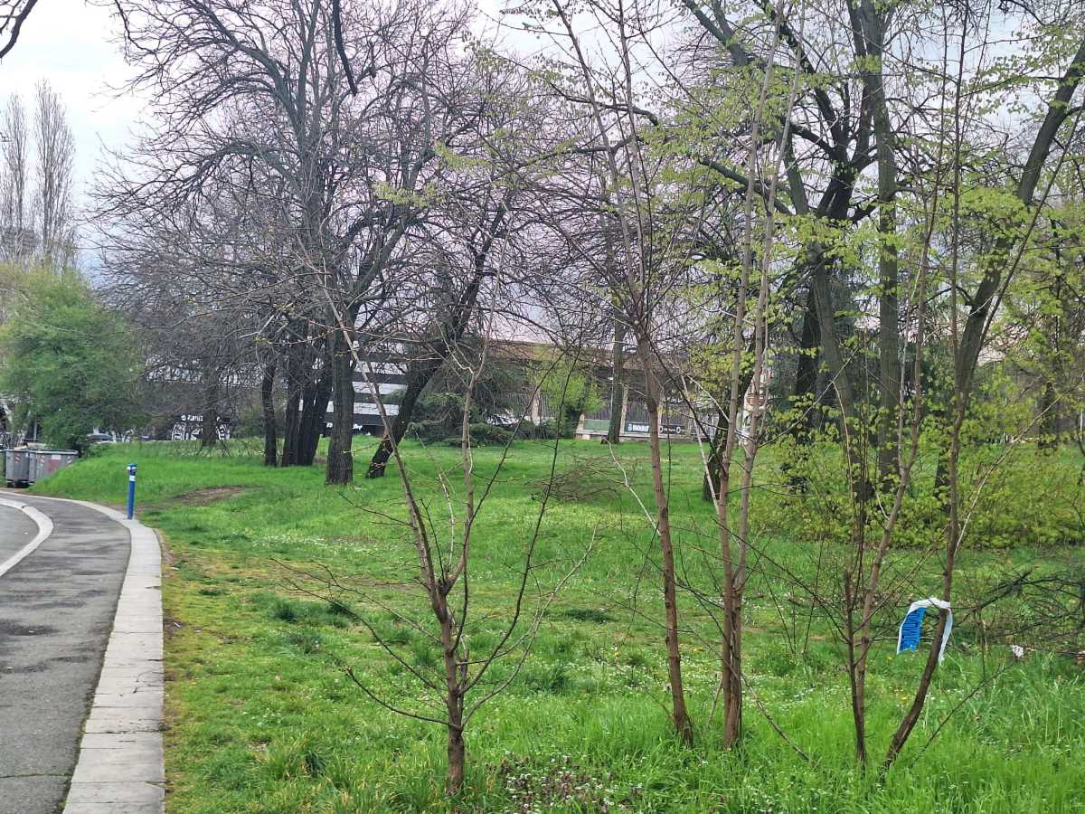 Mesto napada na ženu u Humskoj ulici (4).jpg