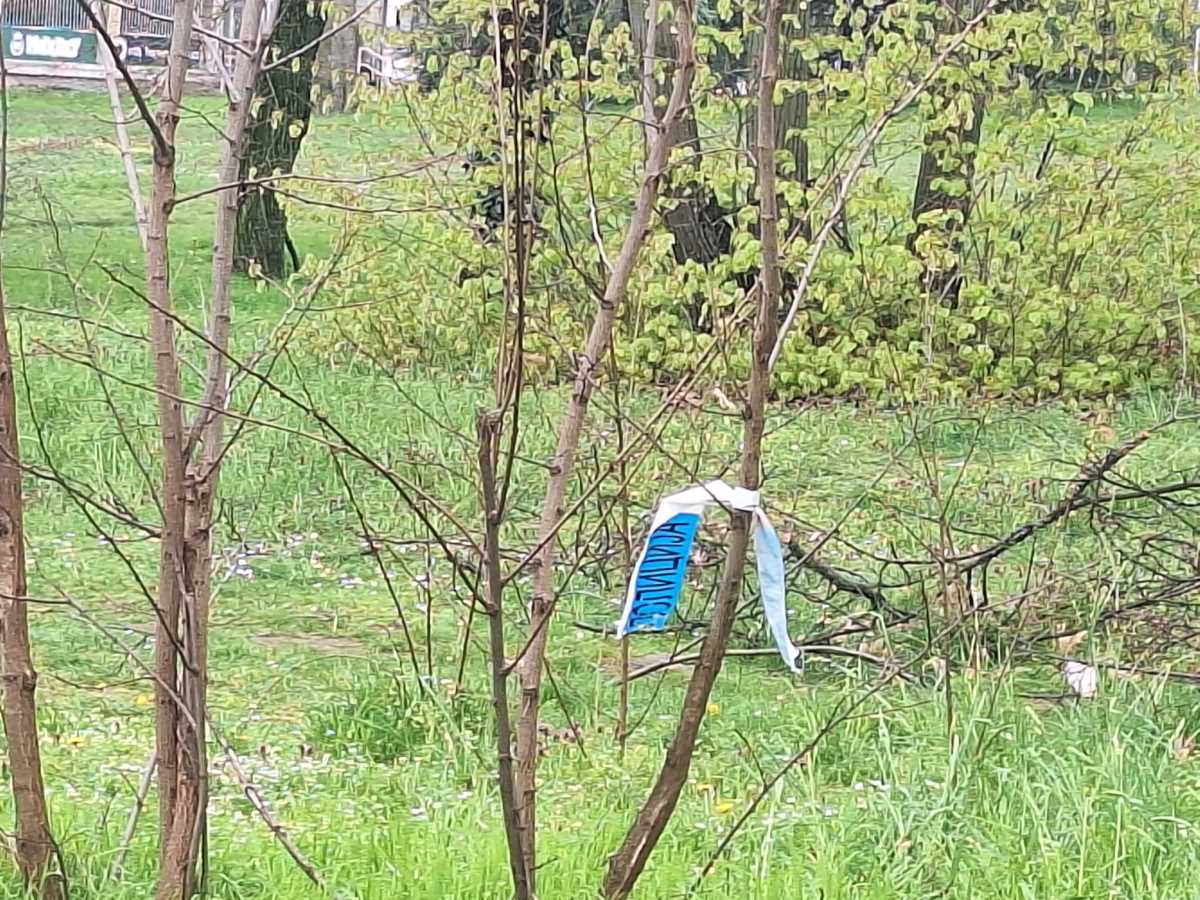 Mesto napada na ženu u Humskoj ulici (5).jpg