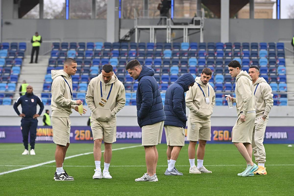 Srbija-Saudijska Arabija (19).jpg