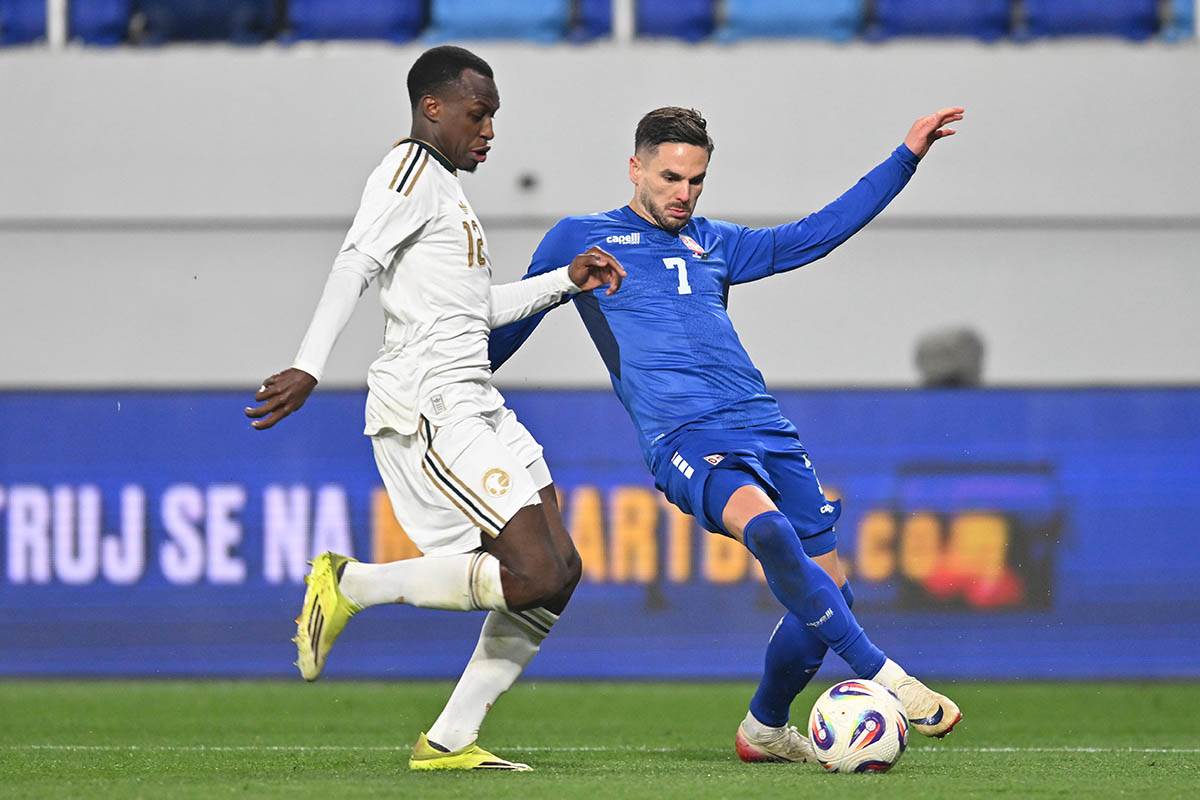 Saudijska Arabija-Srbija (14).jpg