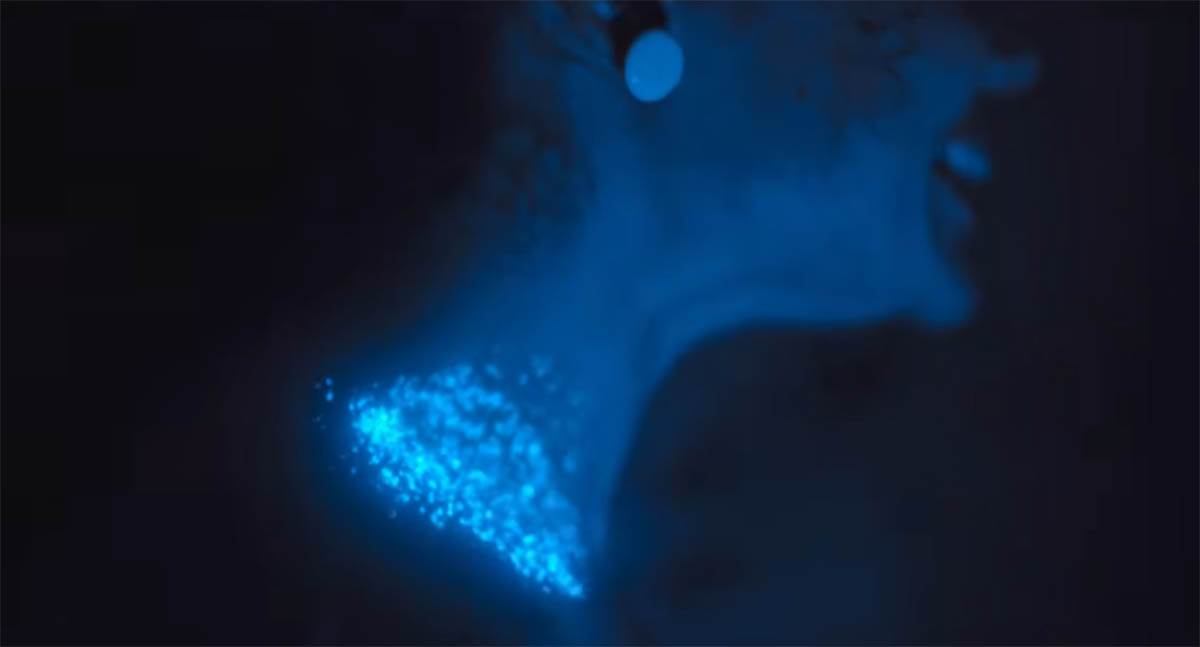 Radioactive Emergency  serija (4).jpg