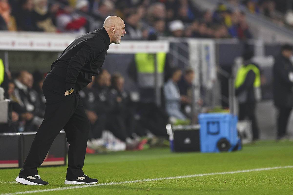 Sergej Barbarez (2).jpg