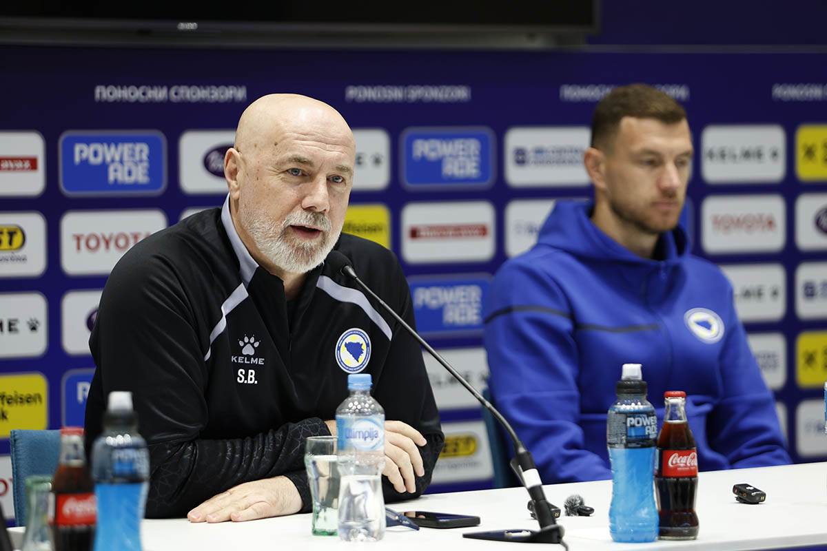 Sergej Barbarez (7).jpg