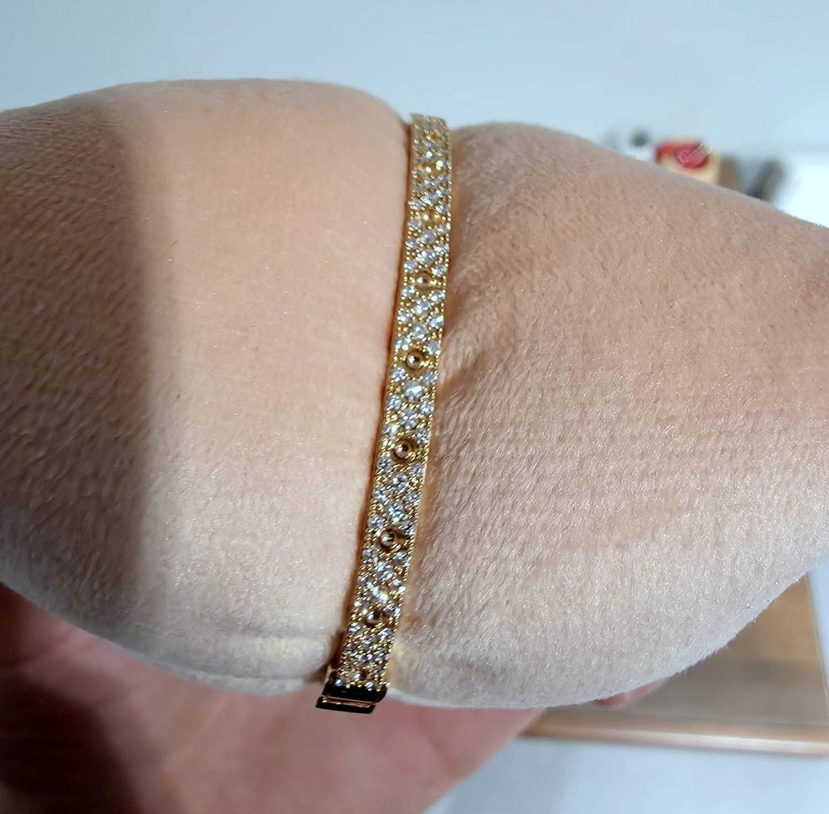 Krijumčarenje novca (4).jpg