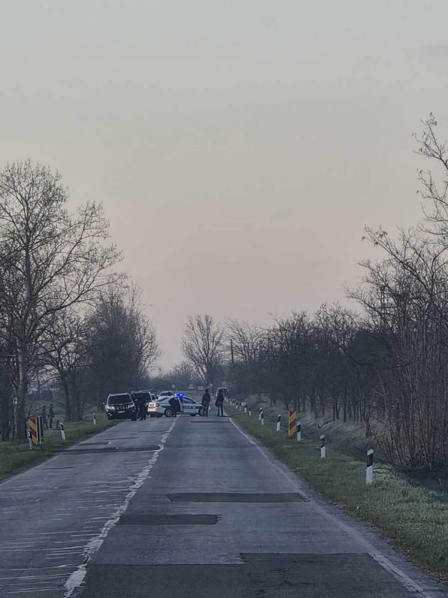 Kanjiža - Pogledajte operaciju Vojske i policije (8).jpg