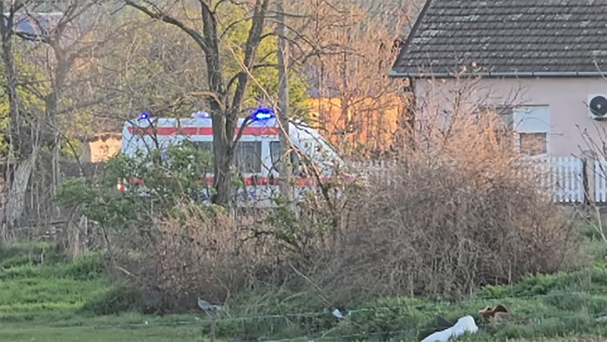 Policijska potraga u Novom Sadu (4).png