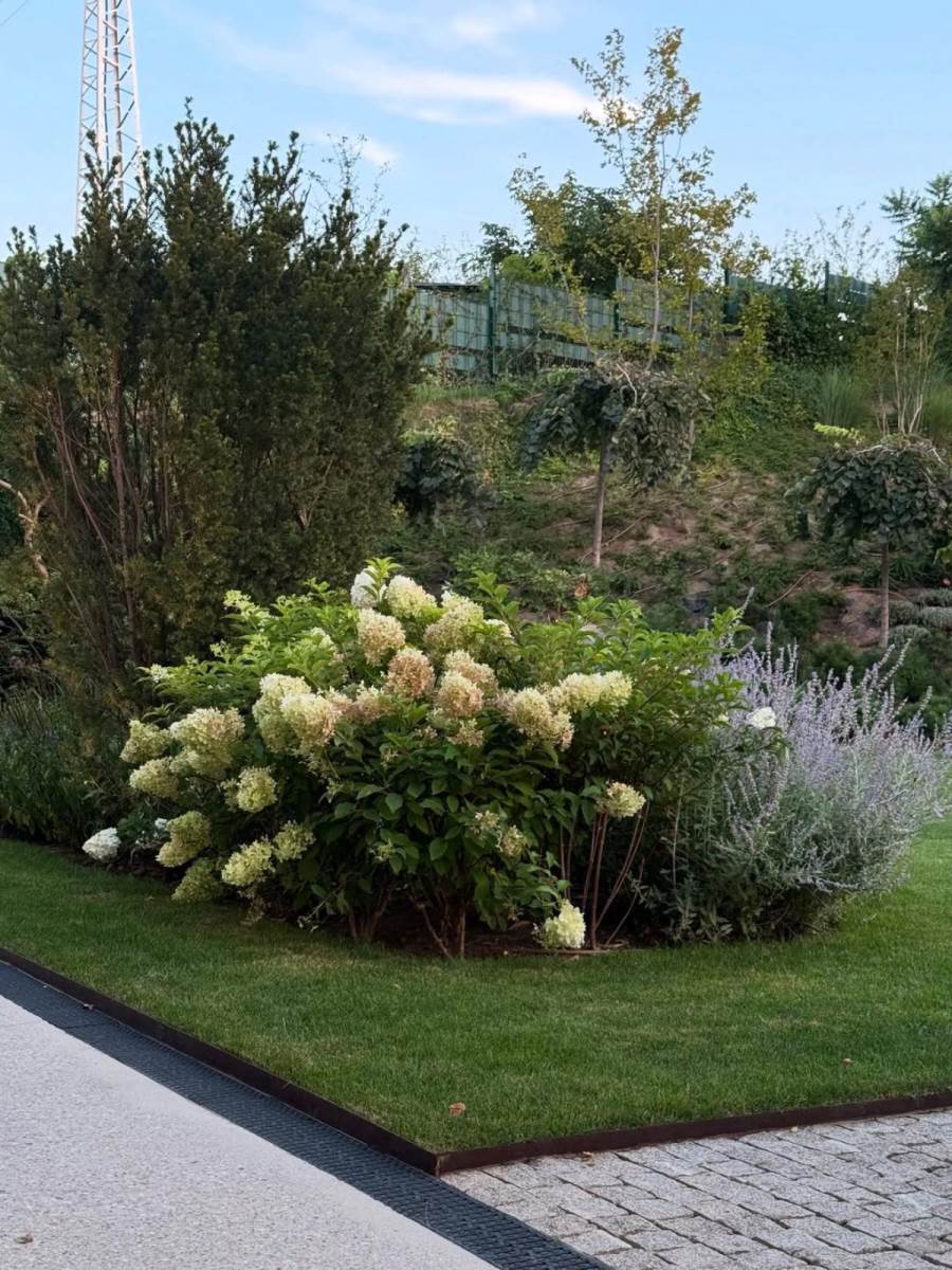 Branka Nevistić kuća i dvorište