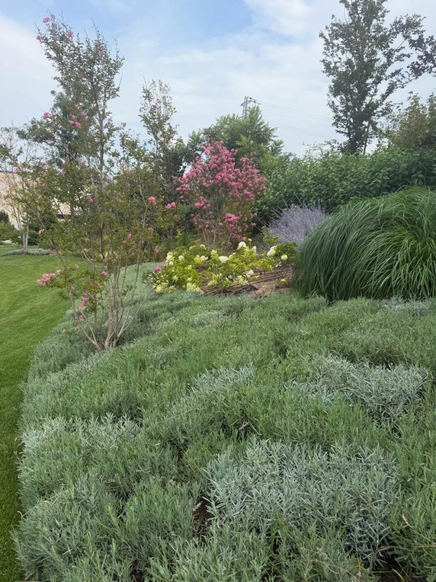 Branka Nevistić kuća i dvorište