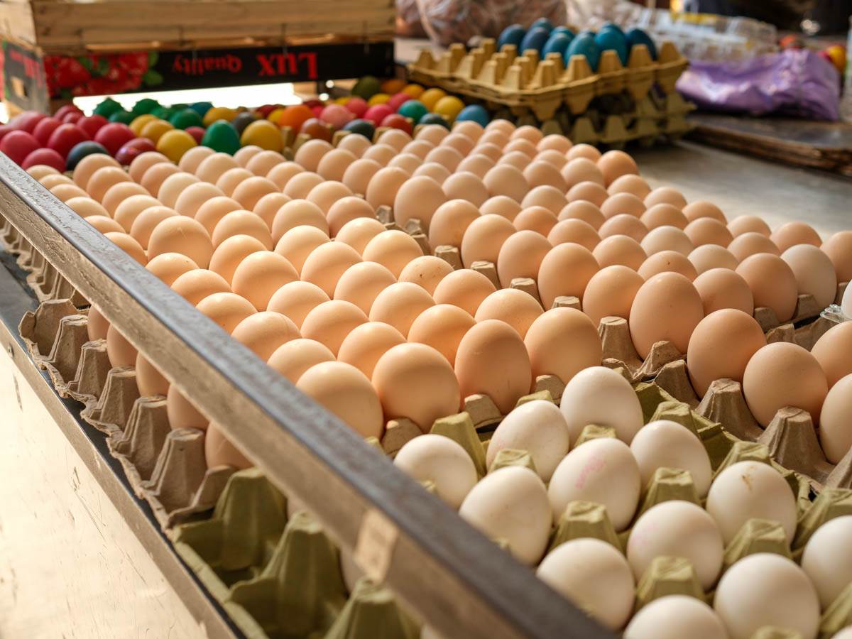 pijaca_uskrs_cene_jaja_meso_riba_stefan_stojanović_ (8).jpg