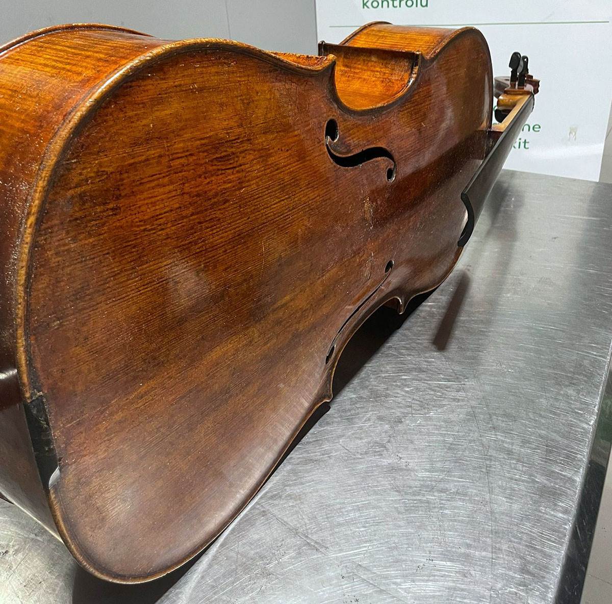 Zaplenjena violončela (1).jpg