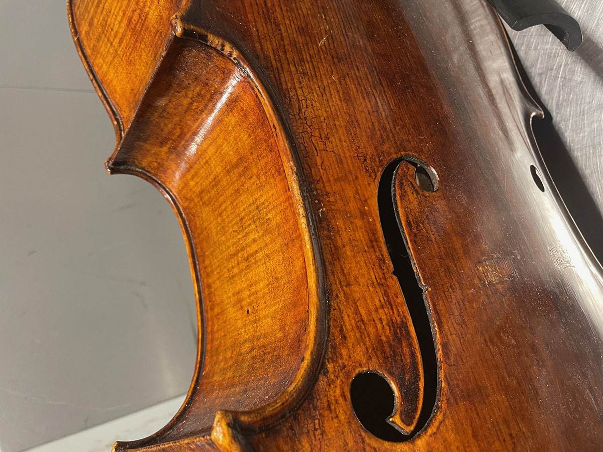 Zaplenjena violončela (5).jpg