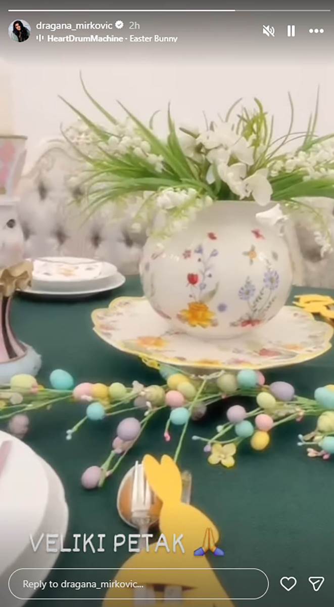 Dragana Mirković (3).jpg