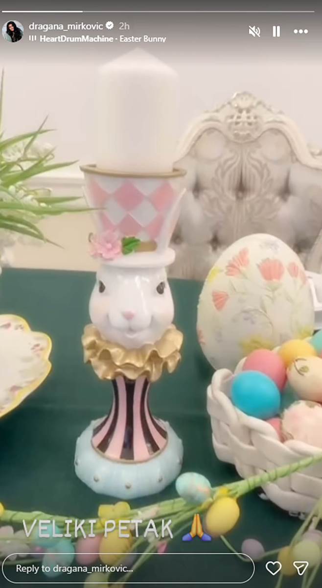 Dragana Mirković (4).jpg