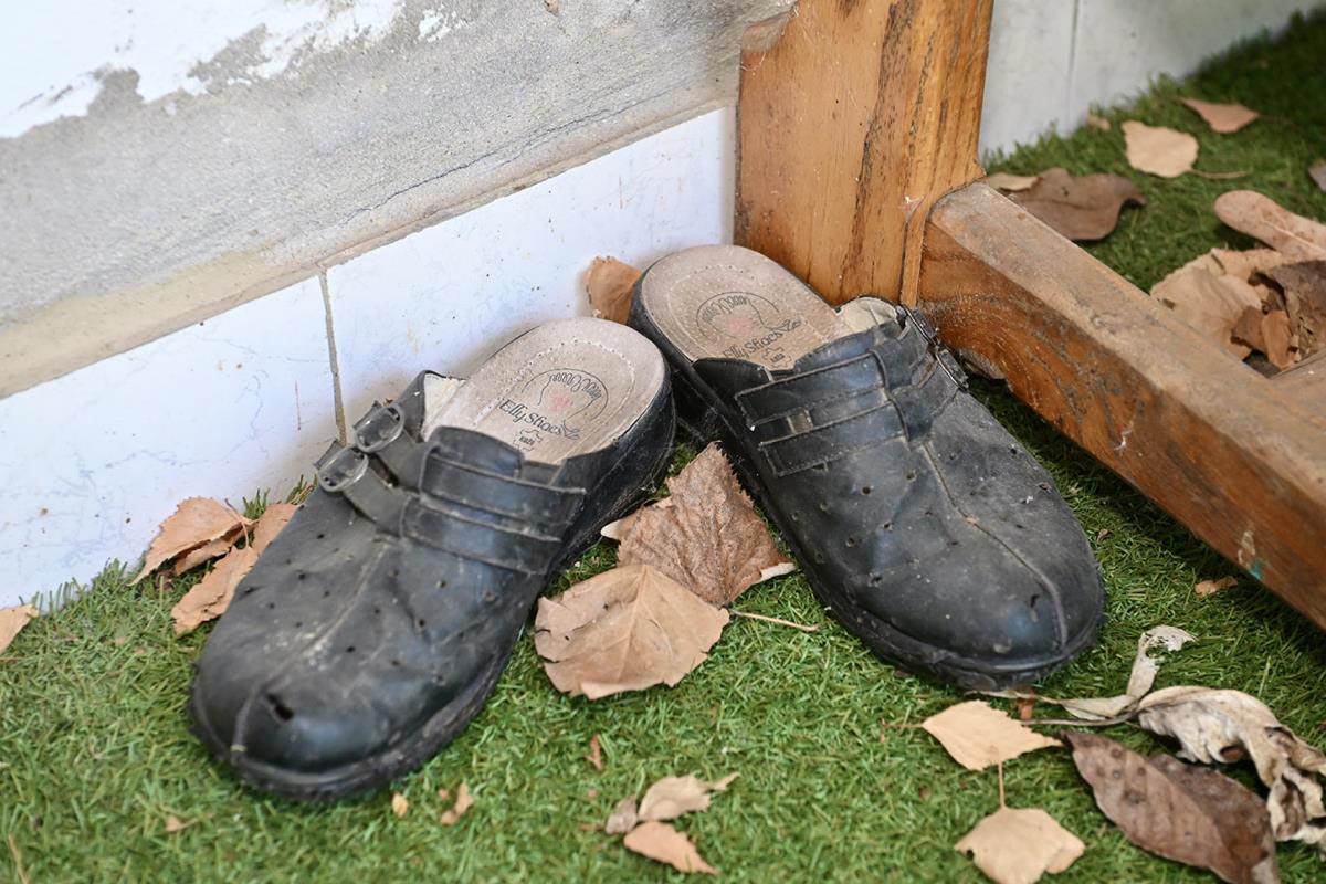 Kuća i imanje Dobrivoja Topalovića u Preljini (1).jpg