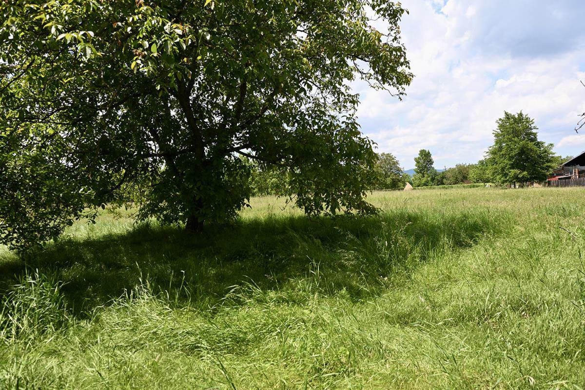 Kuća i imanje Dobrivoja Topalovića u Preljini (6).jpg