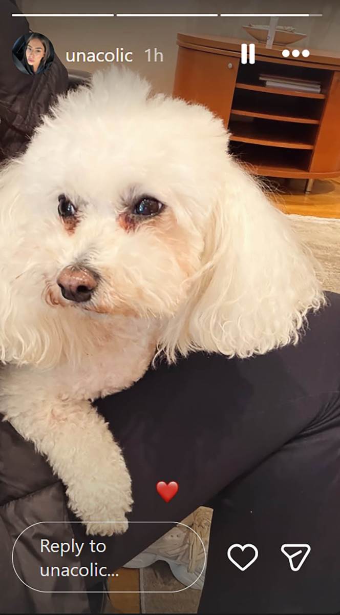 Una Čolić Uskrs (2).jpg