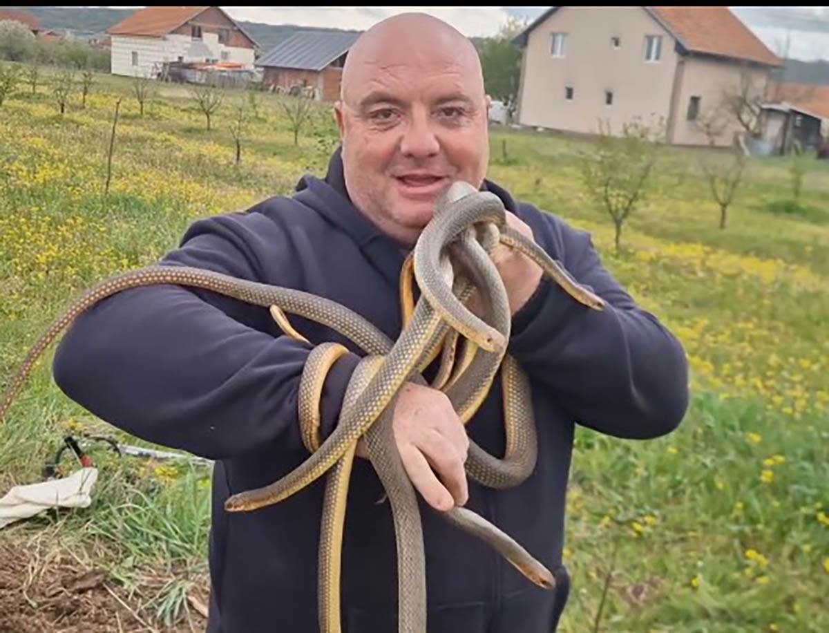 Vladica Stanković izvukao šest smukova iz šahte (6).jpg