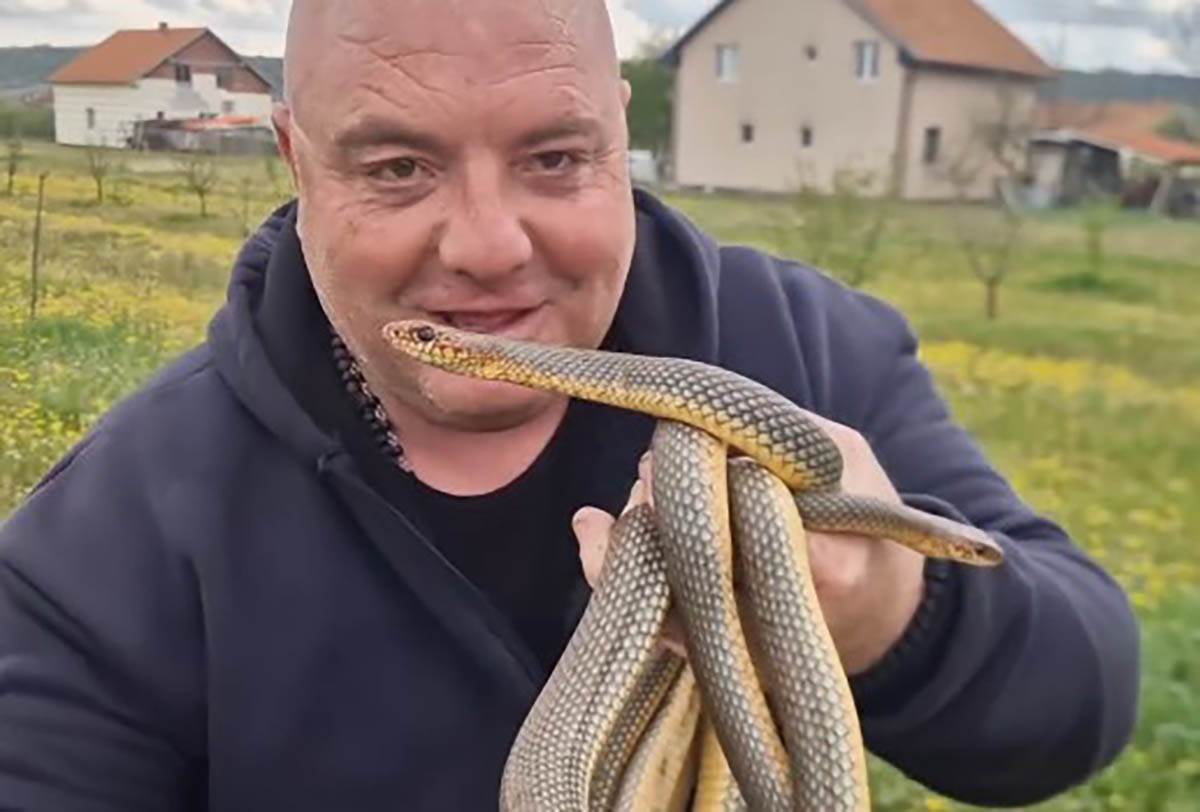 Vladica Stanković izvukao šest smukova iz šahte (8).jpg