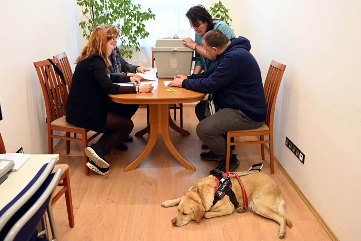 izbori u Mađarskoj (1).jpg