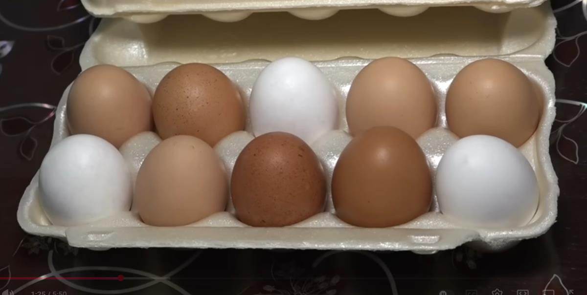 Nemanja iz Obrenovca biznis sa domaćim jajima (6).jpg