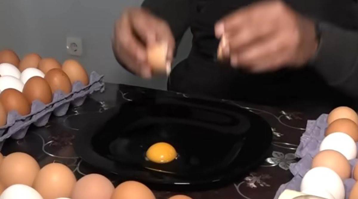 Nemanja iz Obrenovca biznis sa domaćim jajima (9).jpg