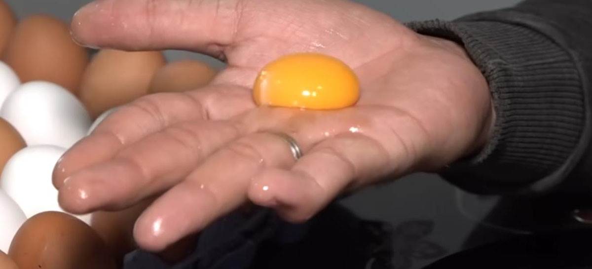 Nemanja iz Obrenovca biznis sa domaćim jajima (10).jpg