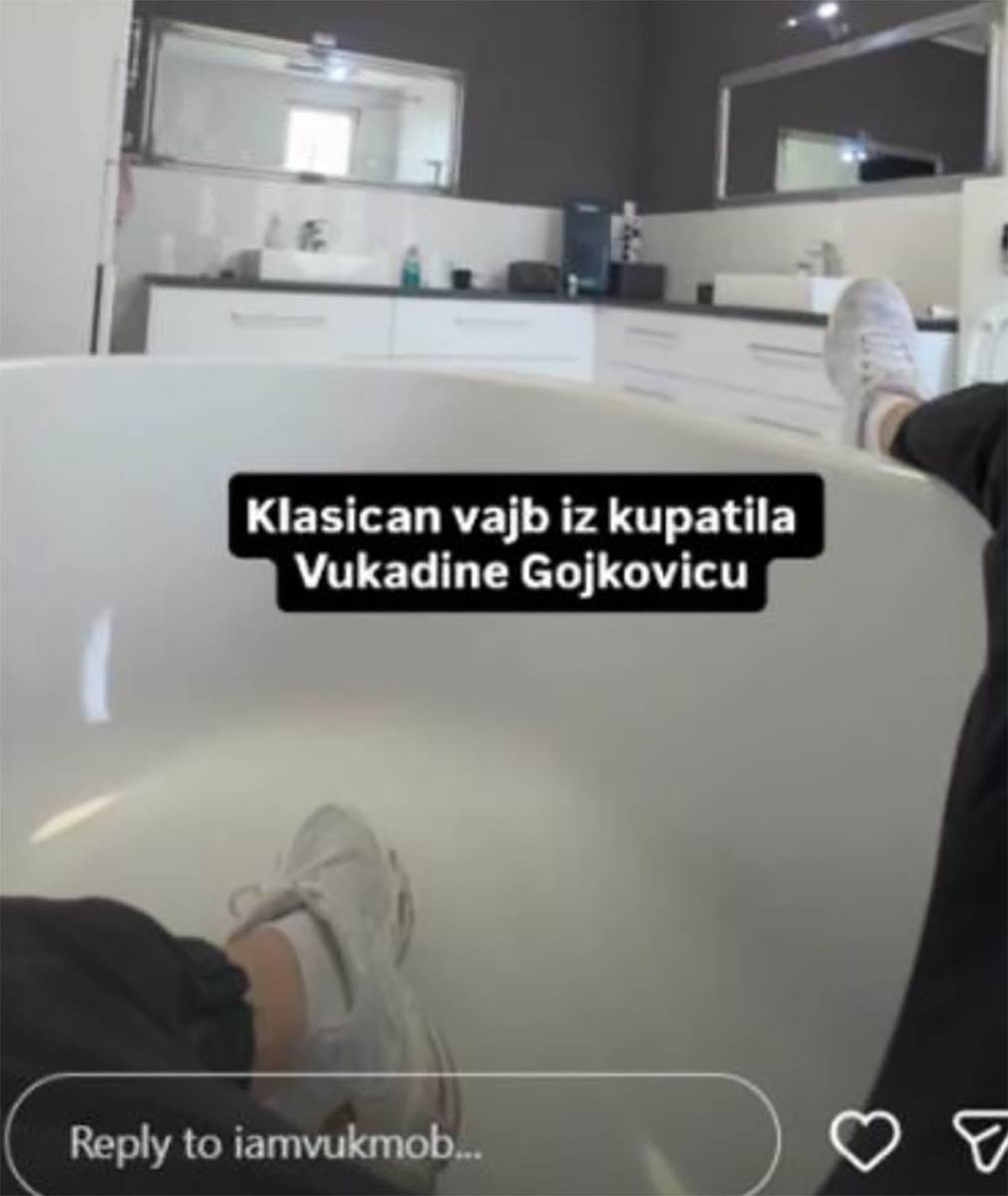 Vuk Mob kuća (5).jpg