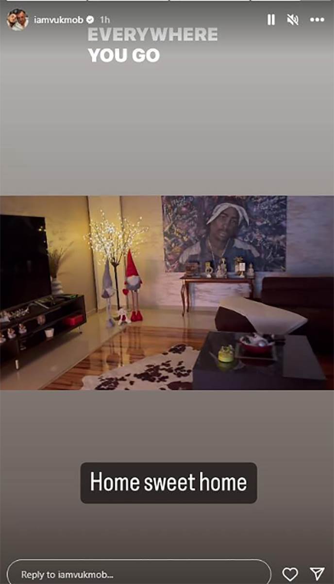 Vuk Mob kuća (6).jpg