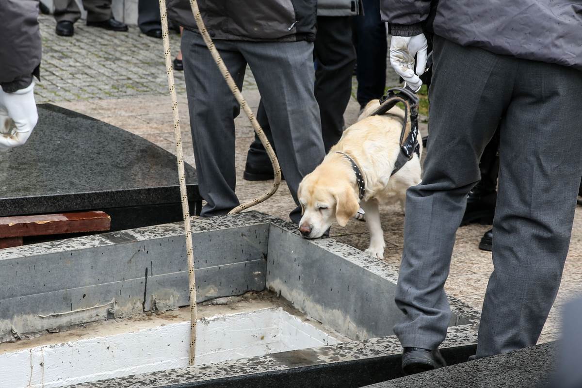 Pas Duška Vujoševića Žuta dovedena na njegovu sahranu na Novom groblju