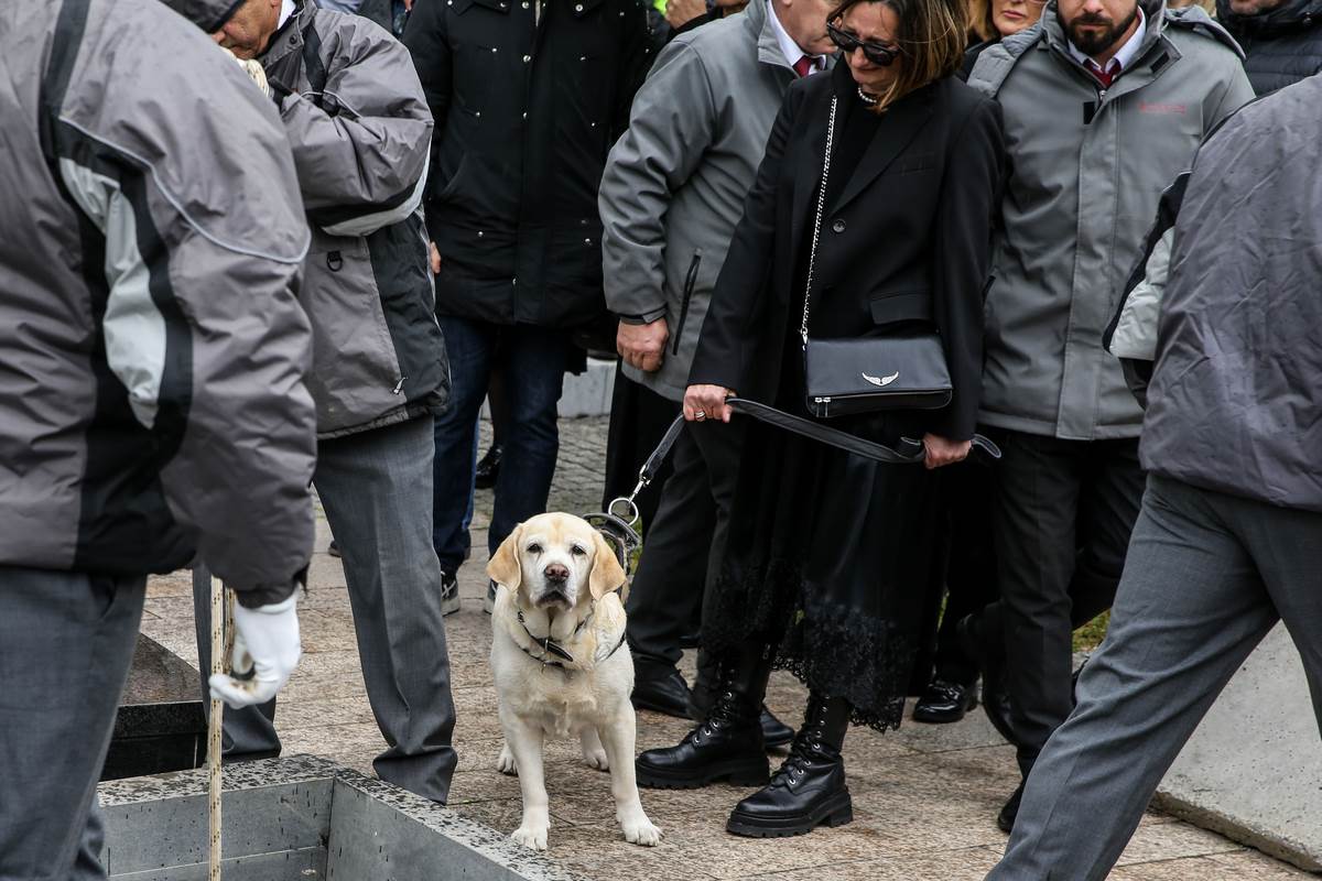 Pas Duška Vujoševića Žuta na njegovoj sahrani na Novom groblju