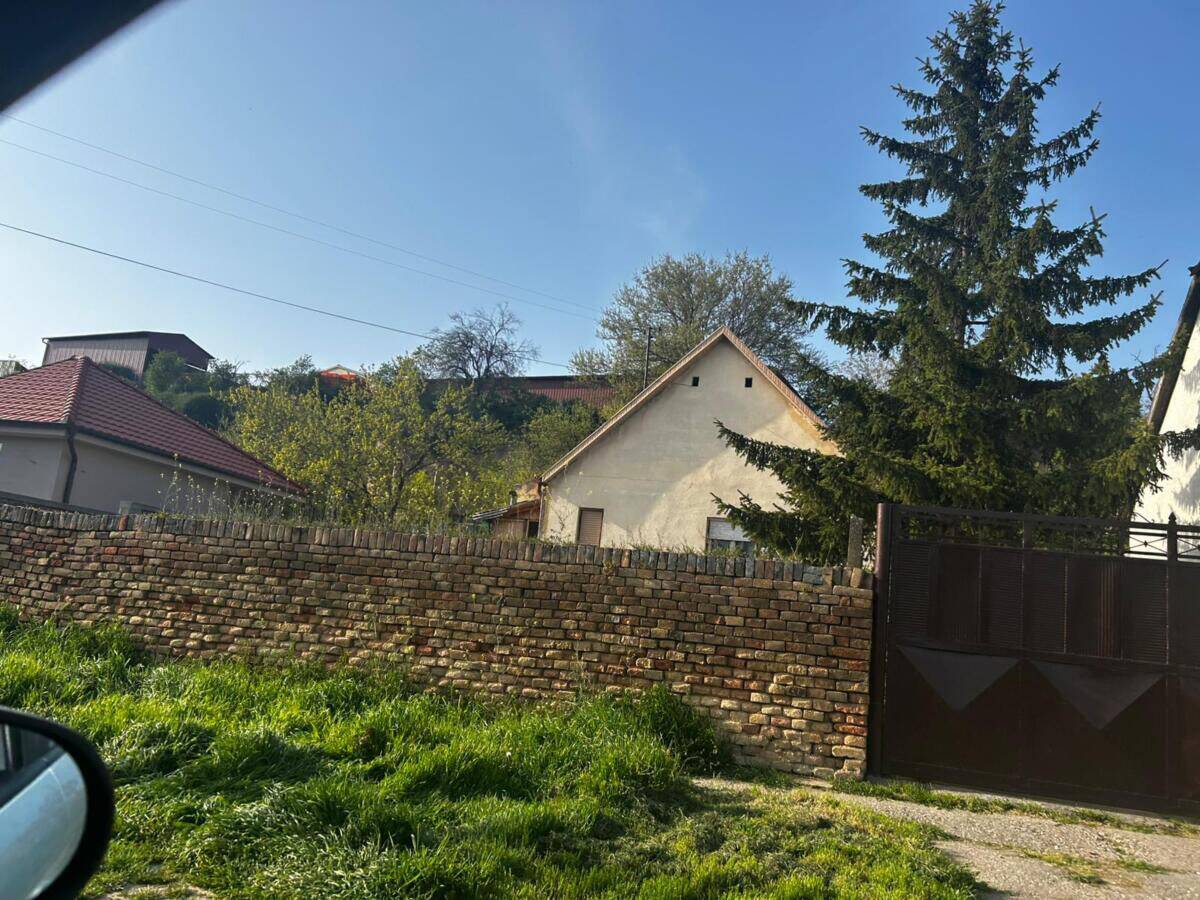 Požar u Titelu (3).jpg